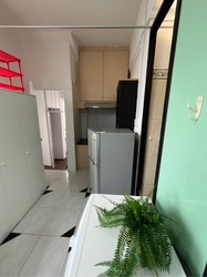 Balestier Plaza (D12), Apartment #492589251